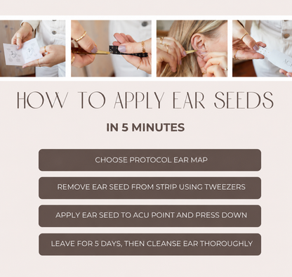 AcuSeeds
